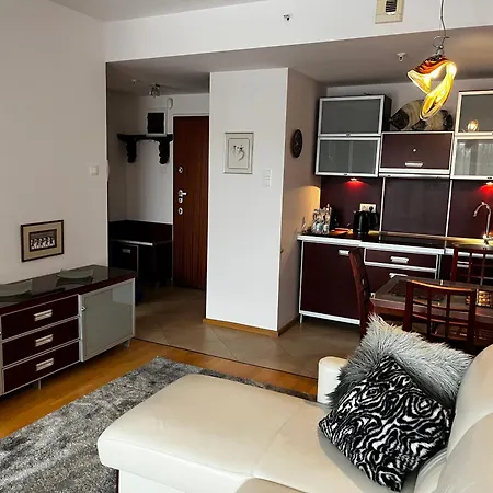 公寓 345 W Domu Zdrojowym - 亚斯塔尔尼亚